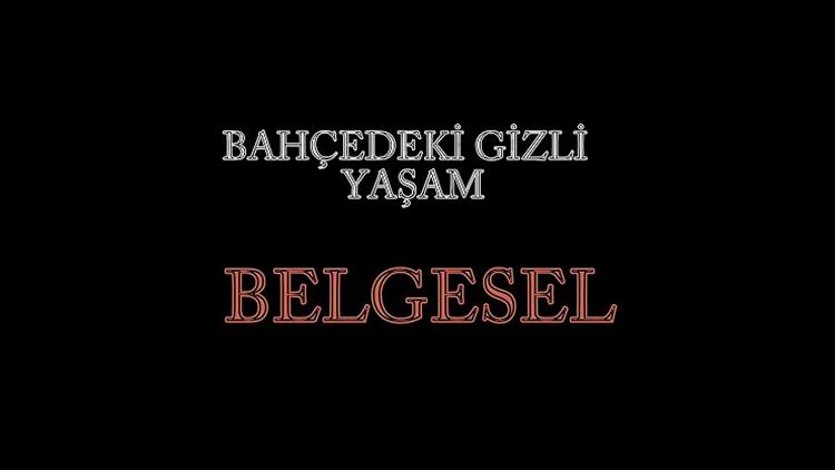 Постер Bahçenin Gizli Yaşamı