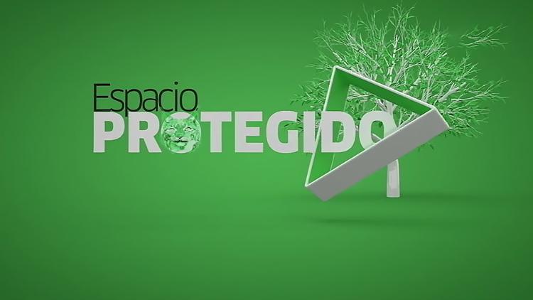 Постер Espacio Protegido