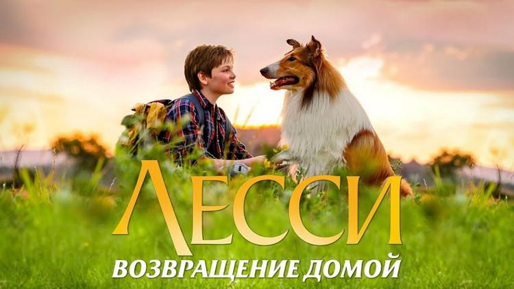 Постер Лесси. Возвращение домой