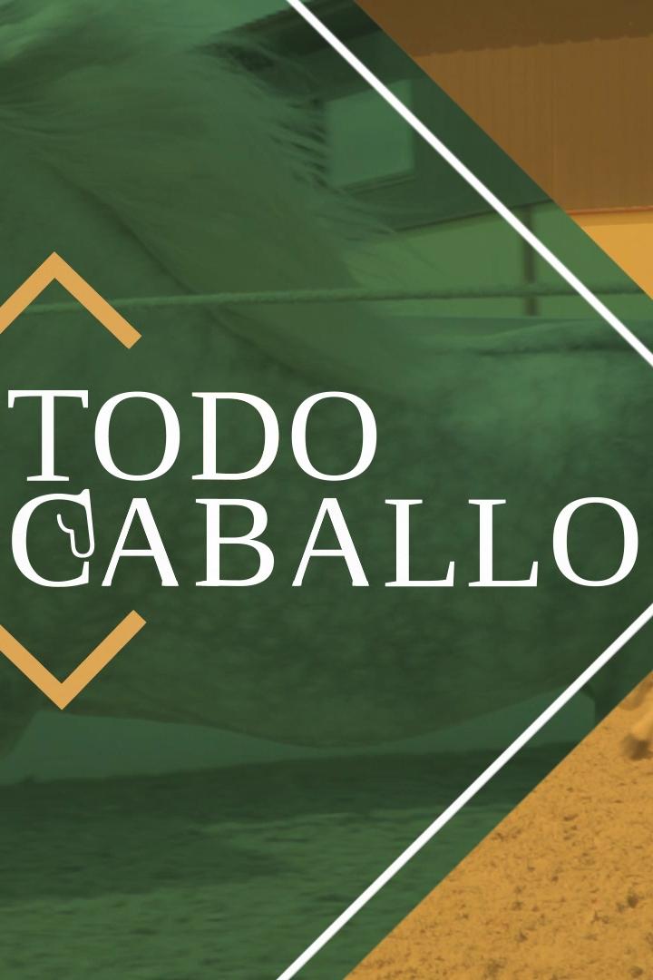 Todo caballo (todo-caballo) Познавательное