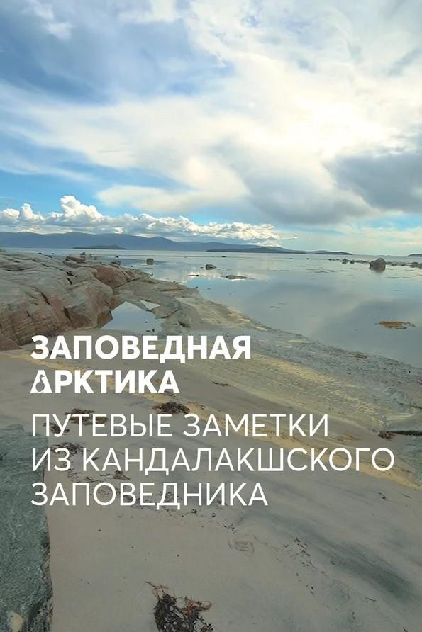 Заповедная Арктика. Путевые заметки из Кандалакшского заповедника (zapovednaja-arktika-putevye-zametki-iz-kandalakshskogo-zapovednika) Документальный фильм