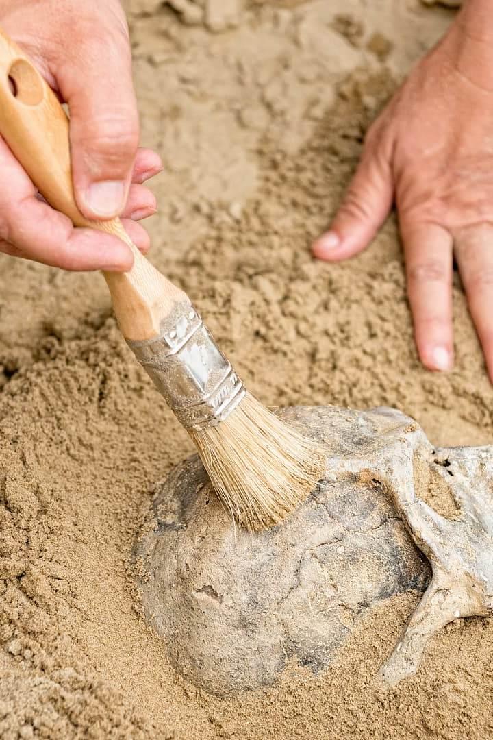 Archaeology (archaeology) Документальный сериал