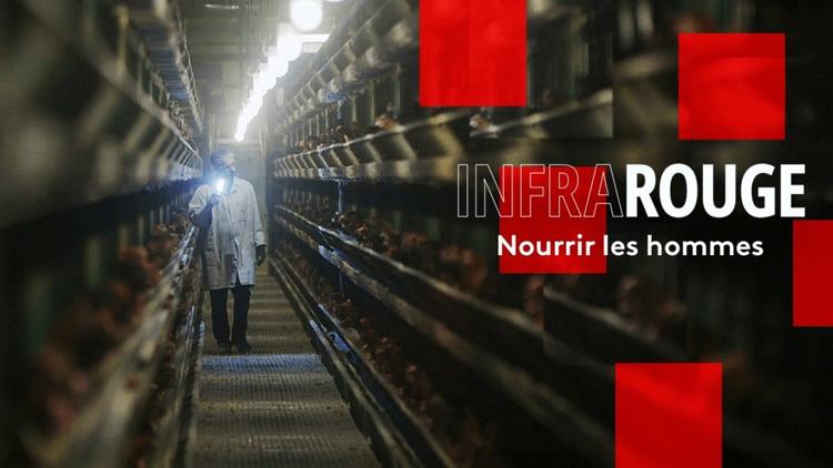 Постер Nourrir les hommes