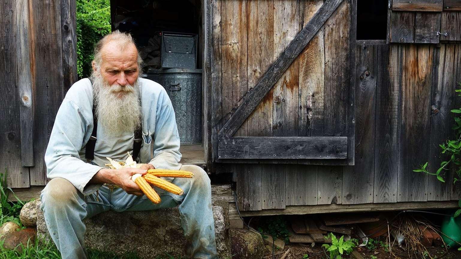 Seed: The Untold Story (seed-the-untold-story) Документальный фильм