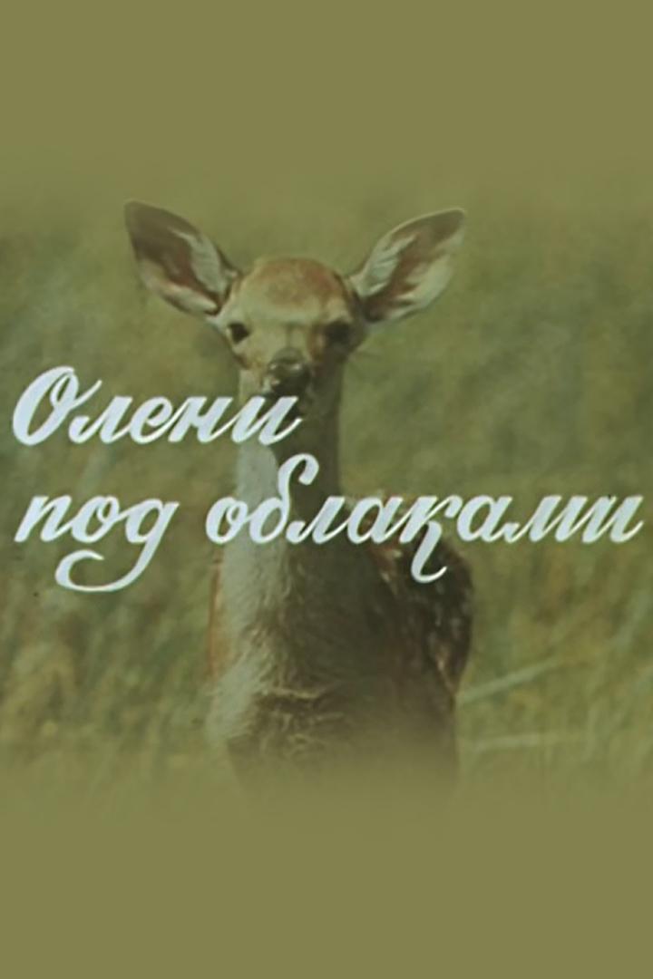 Олени под облаками (oleni-pod-oblakami) Документальный фильм