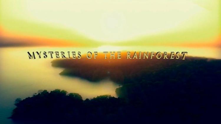 Постер Mysteries of the Rainforest