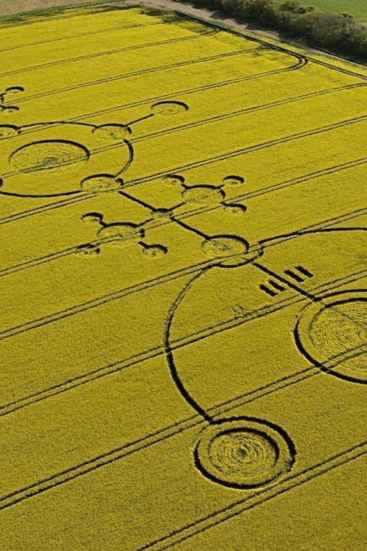 Что на самом деле означают круги на полях (chto-na-samom-dele-oznachajut-krugi-na-poljah) Познавательное