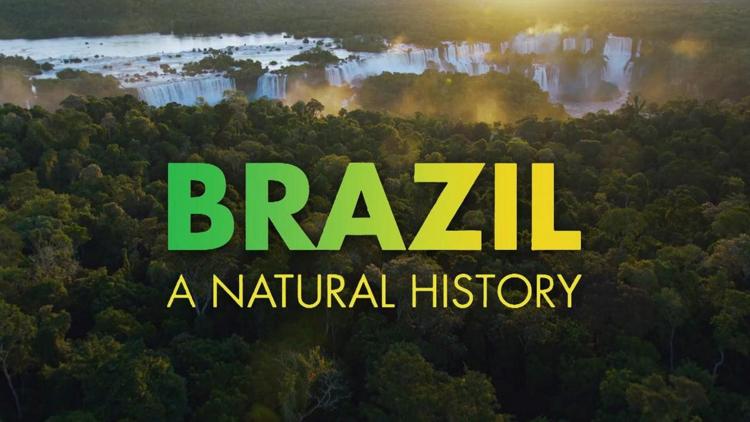 Постер Brazil: a Natural History