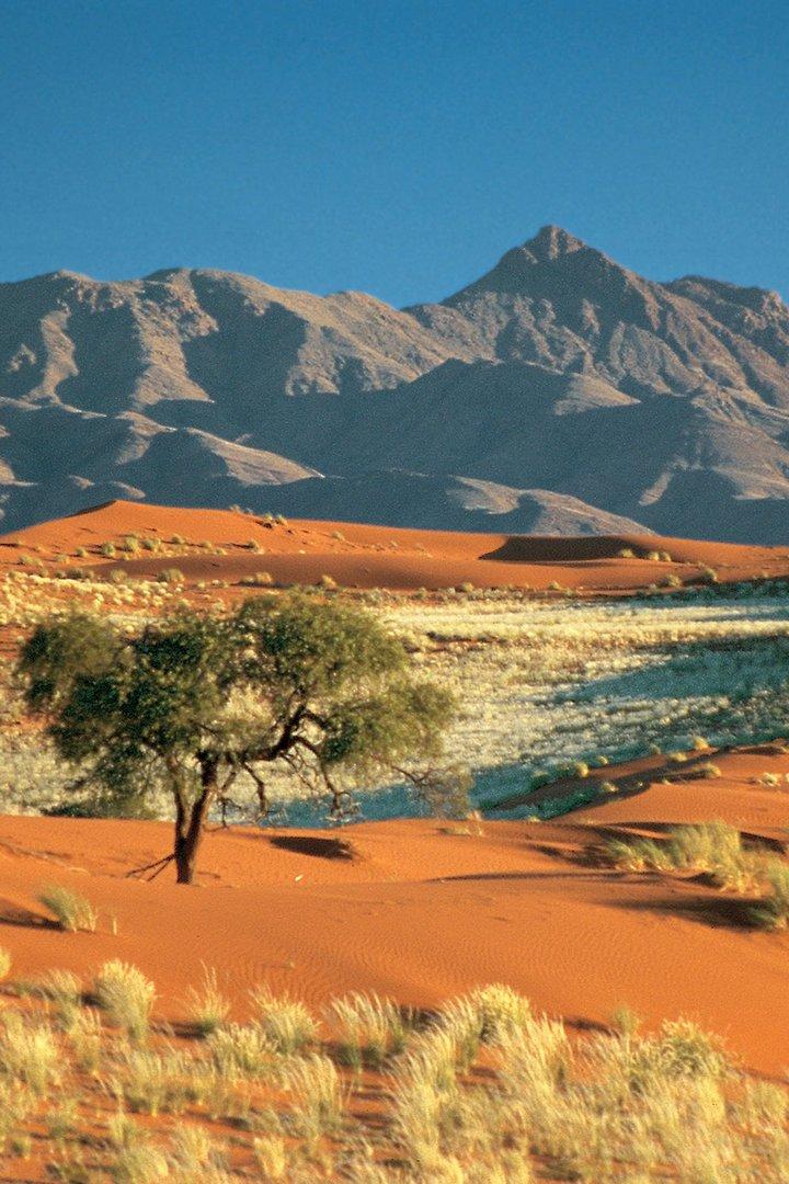 Калахари (kalahari) Документальный сериал