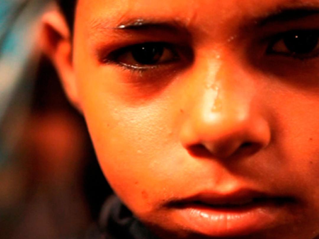 Жизнь за один день (zhizn-za-odin-den) Документальный фильм