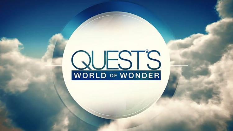 Постер Quest's World of Wonder