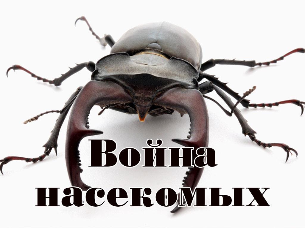 Война насекомых (vojna-nasekomyh) Документальный сериал