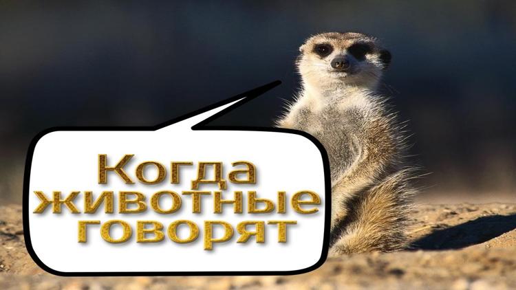 Постер Когда животные говорят