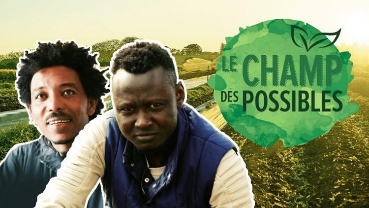 Постер Le champ des possibles