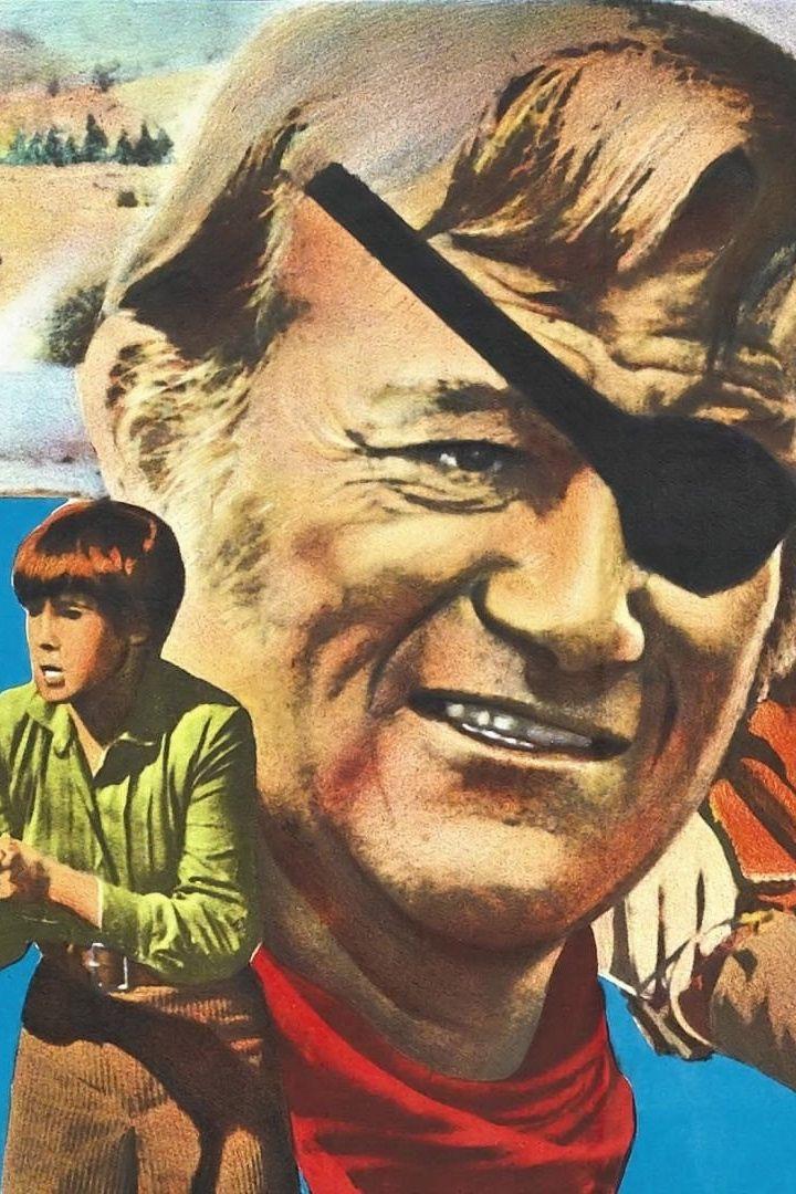 Настоящее мужество (nastojaschee-muzhestvo) Фильм 1969
