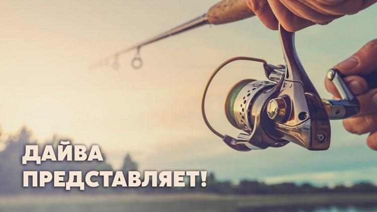 Постер Дайва представляет!