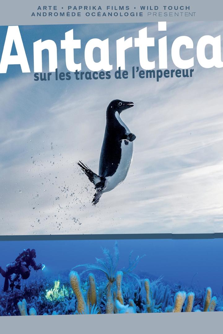 Antarctica, sur les traces de l'empereur (antarctica-sur-les-traces-de-lempereur) Документальный фильм