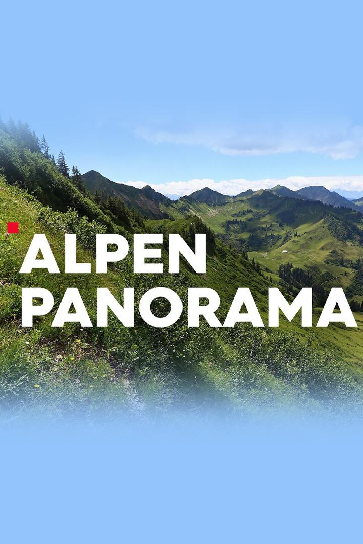 Alpenpanorama (alpenpanorama) Новости