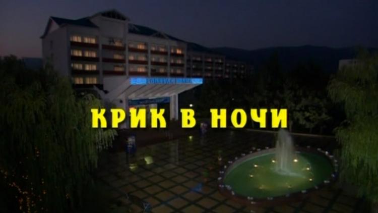 Постер Крик в ночи