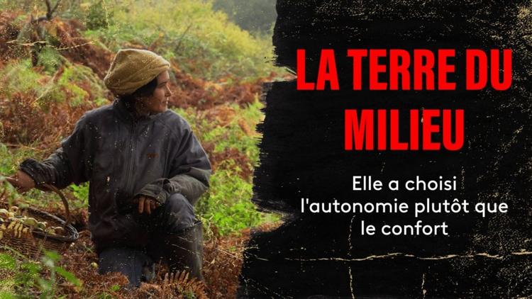 Постер La terre du milieu