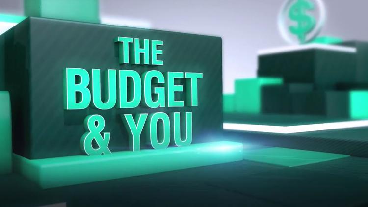 Постер The Budget & You