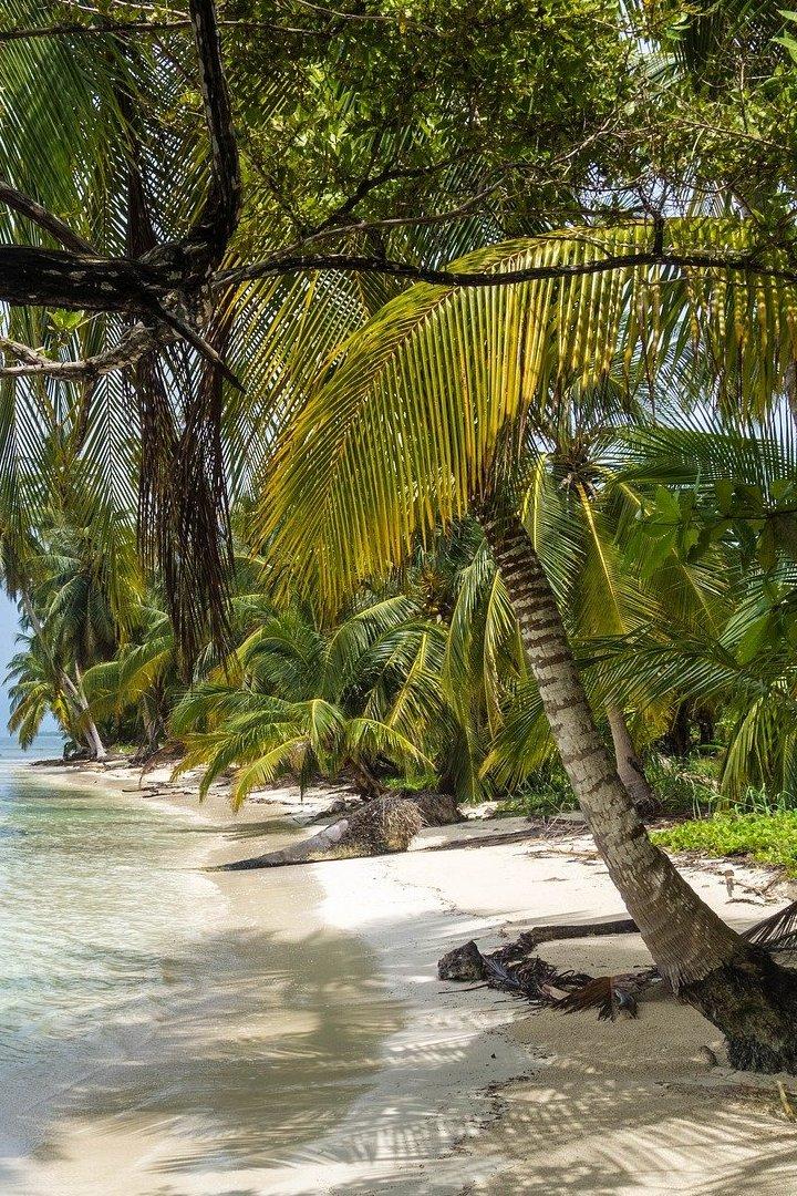 Panama, côté sauvage (panama-ct-sauvage) Познавательное