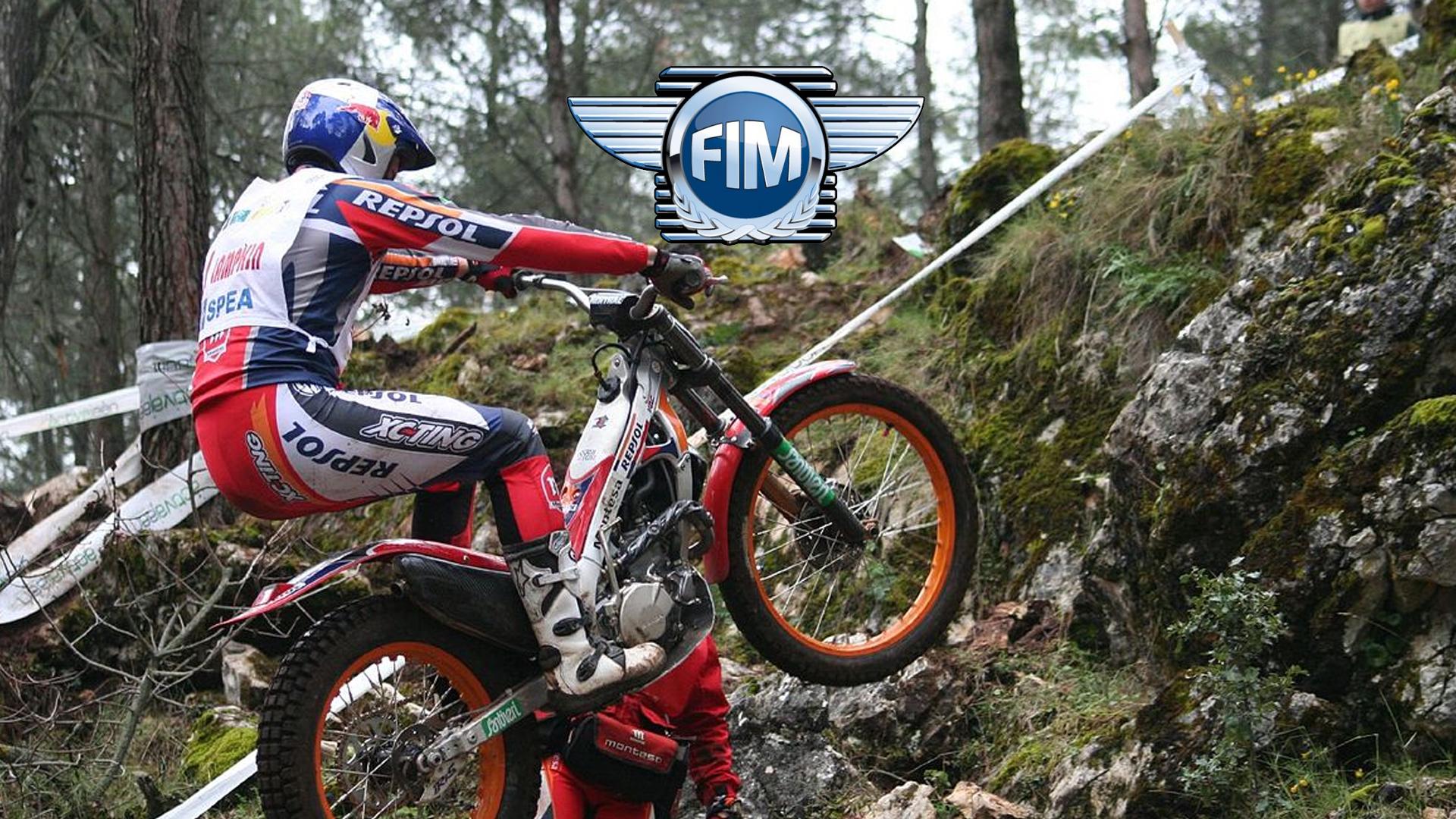 FIM World Motocross Championship. Grand Prix of Great Britain, Matterley Basin. Highlights (fim-world-motocross-championship-grand-prix-of-great-britain-matterley-basin-highlights) Досуг, хобби