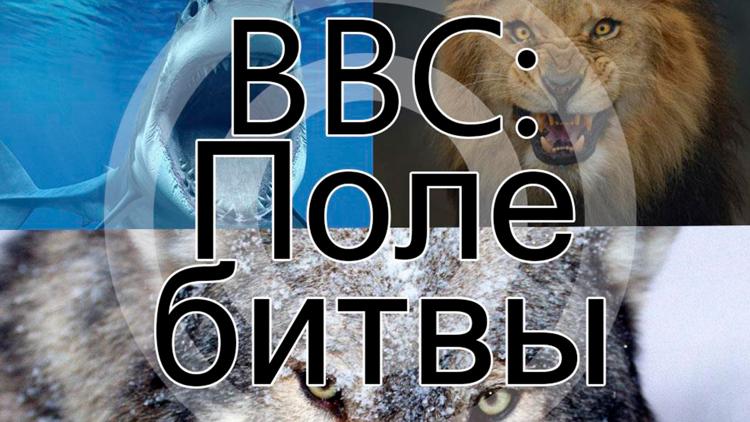 Постер BBC: Поле битвы