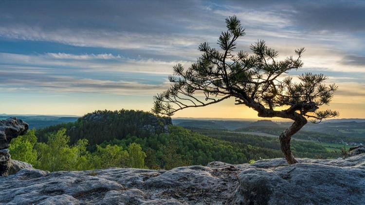 Постер Sächsische Schweiz – Wald, Stein, Fluss – nonstop