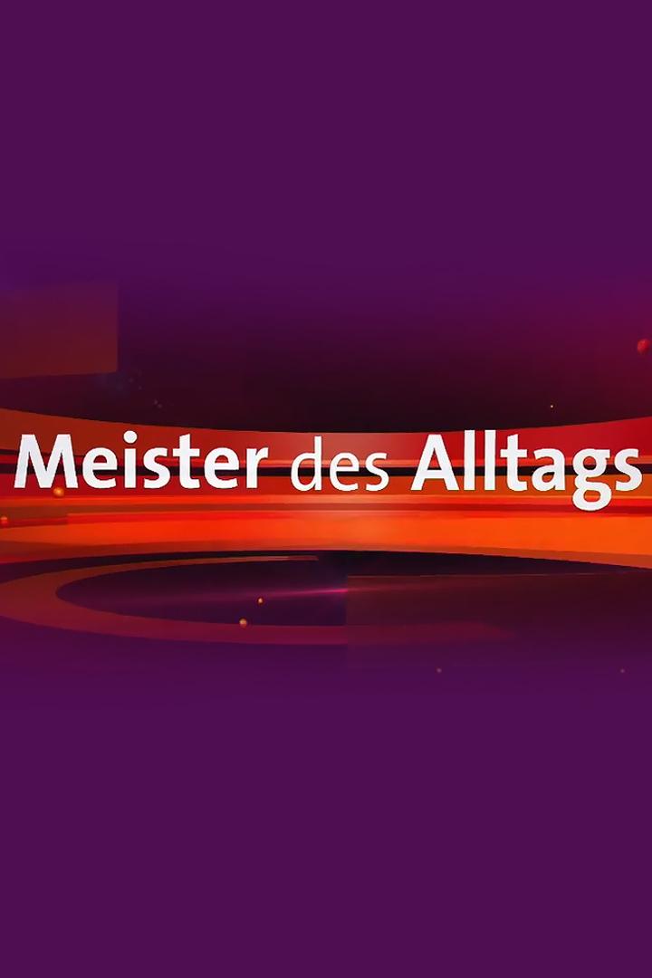 Meister des Alltags (meister-des-alltags) Игровые