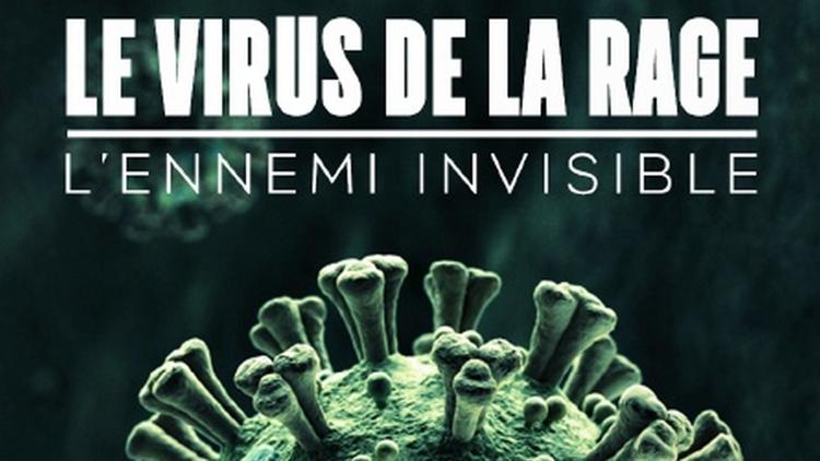 Постер Le virus de la rage, l'ennemi invisible