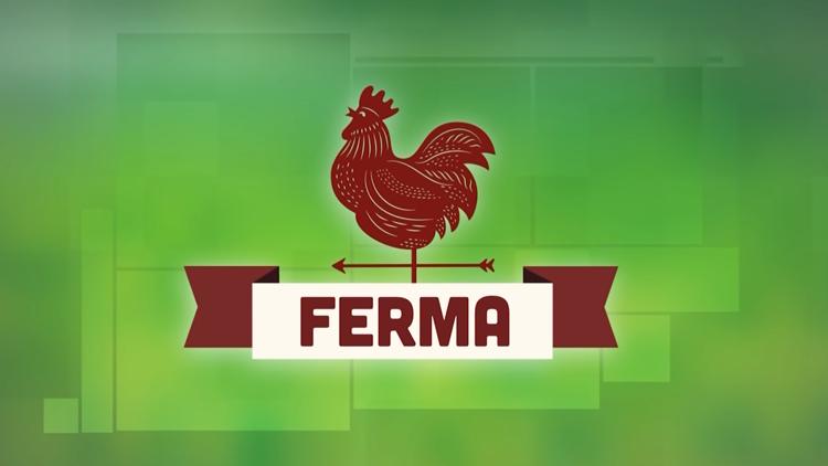 Постер Ferma