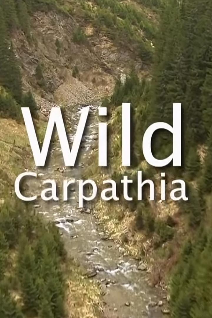 Wild Carpathia (wild-carpathia) Документальный сериал
