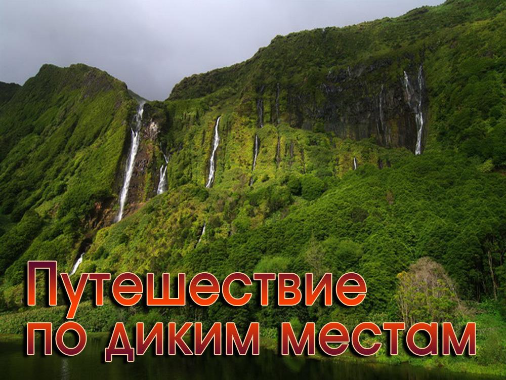 Путешествие по диким местам (puteshestvie-po-dikim-mestam) Документальный фильм