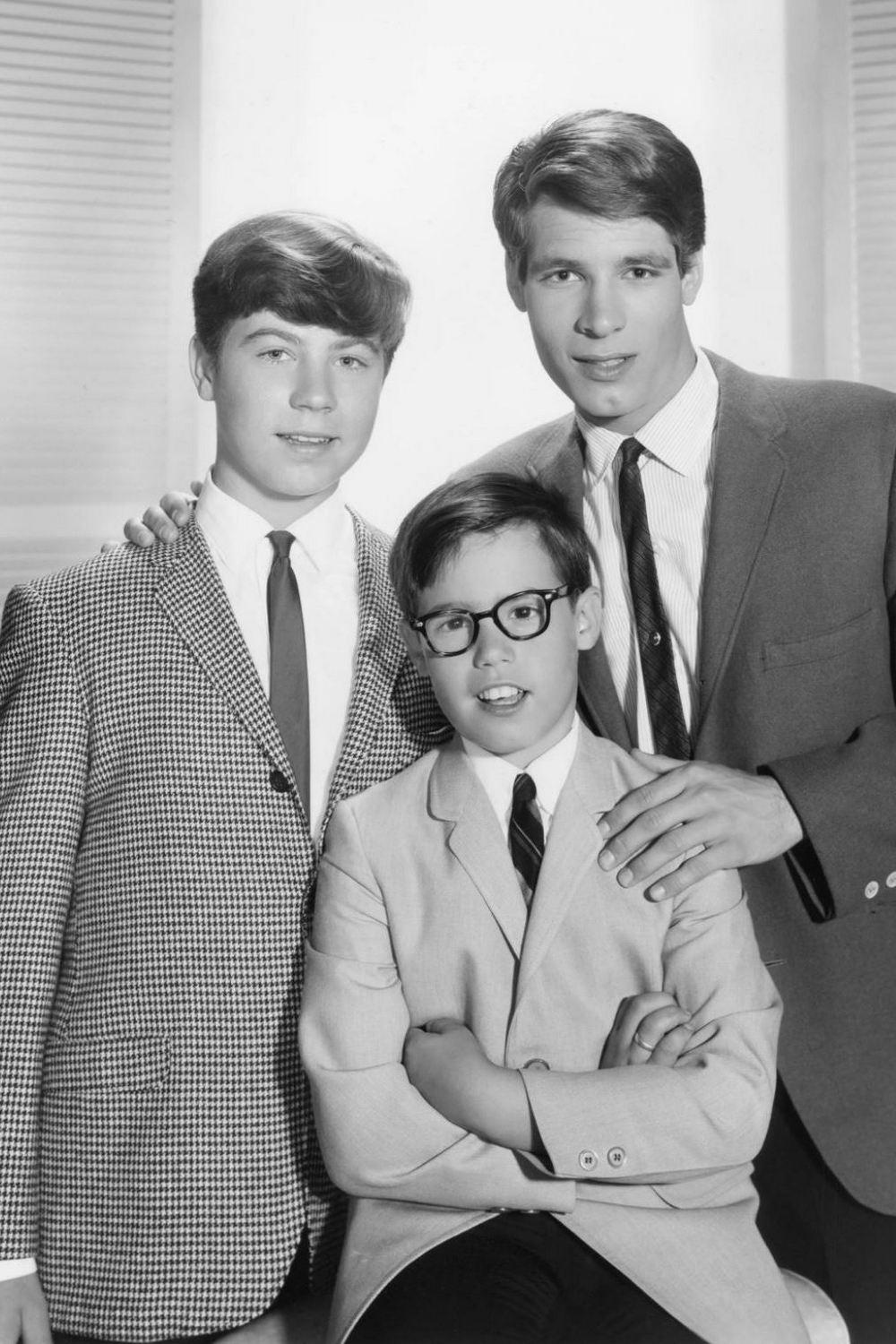Три моих сына (tri-moih-syna) Сериал 1960