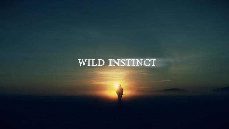 Постер Wild Instincts