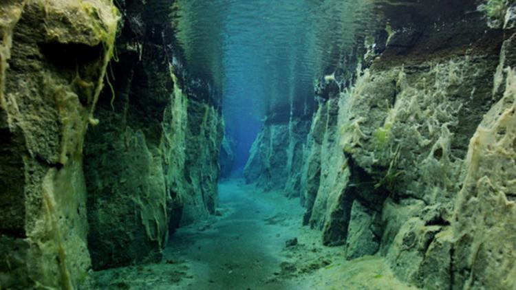 Постер Планета под водой