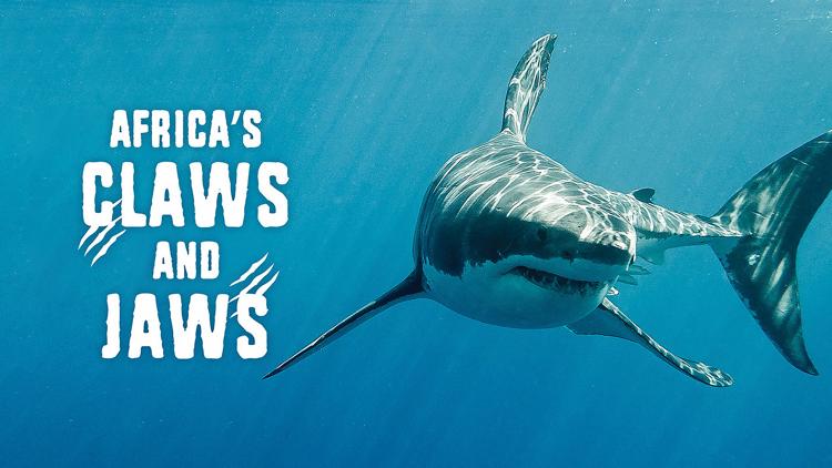 Постер Africa's Claws and Jaws