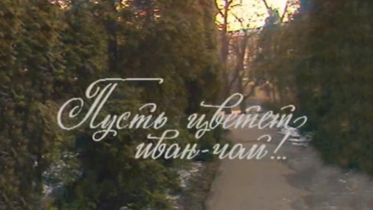 Пусть цветёт иван-чай (pust-tsvetet-ivan-chaj) Фильм 1984