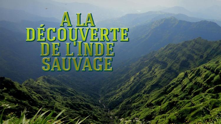 Постер A la découverte de l'Inde sauvage