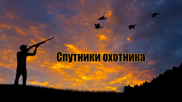 Постер Спутники охотника