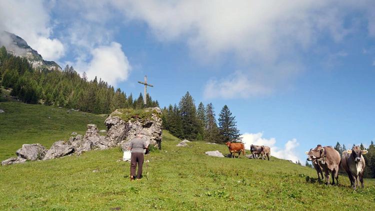 Постер Kleines Land ganz groß