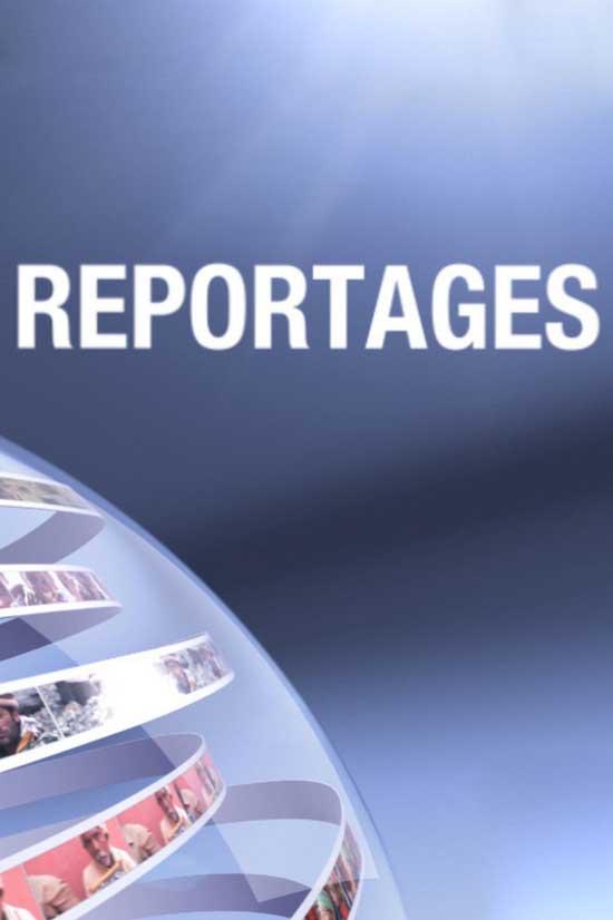 Репортажи (reportazhi) Новости