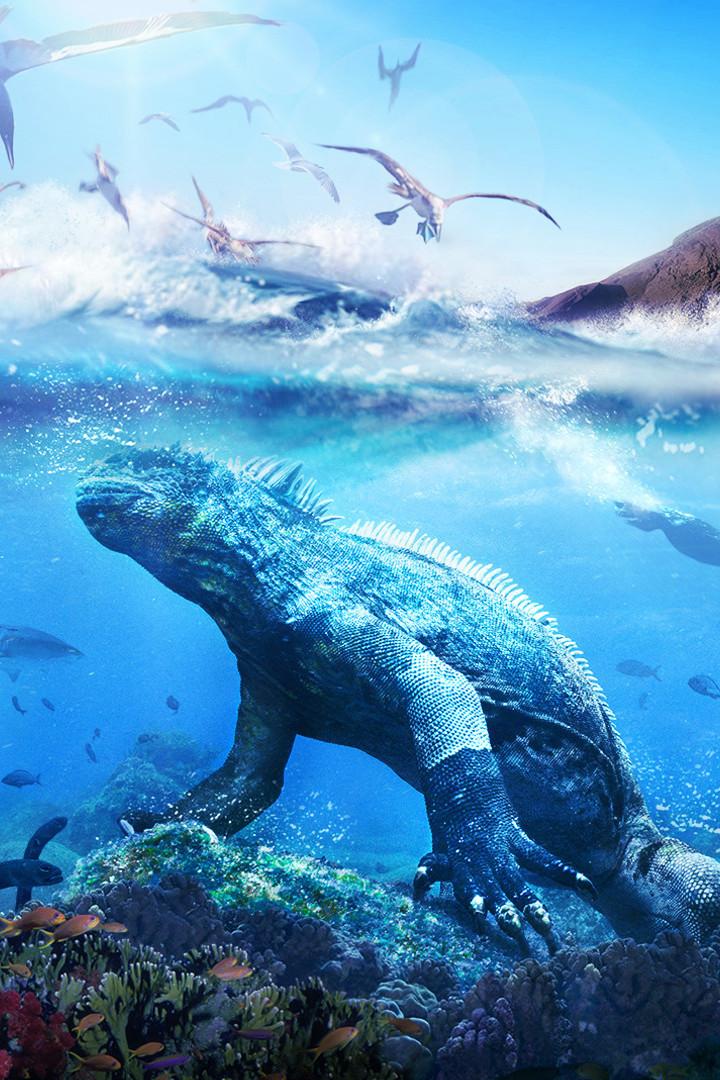 Галапагосские острова (galapagosskie-ostrova) Документальный сериал