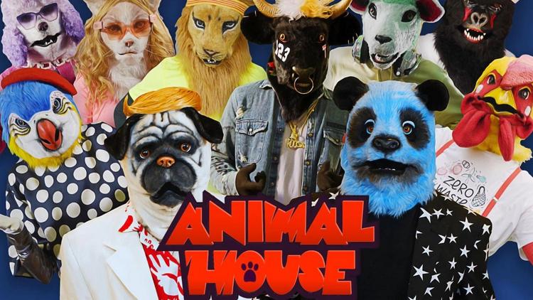 Постер Animal house