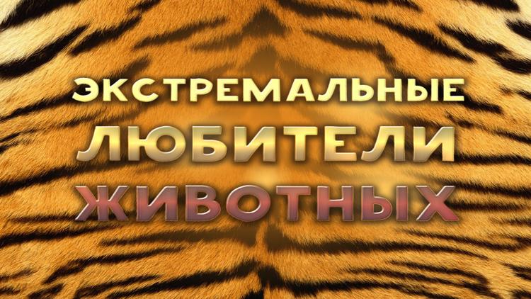 Постер Экстремальные любители животных