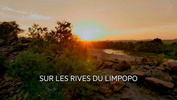 Постер Sur les rives du Limpopo