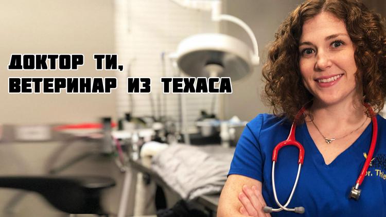 Постер Доктор Ти, ветеринар из Техаса