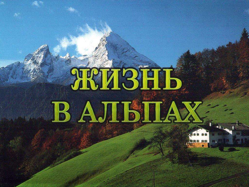 Жизнь в Альпах (zhizn-v-alpah) Документальный фильм