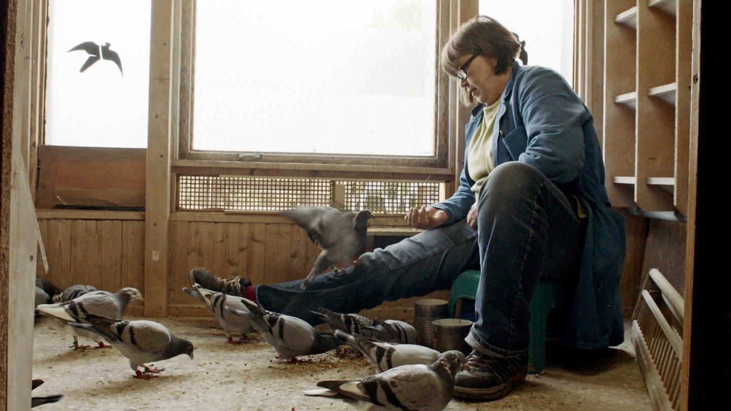 Höhenflüge (hhenflge) Документальный сериал